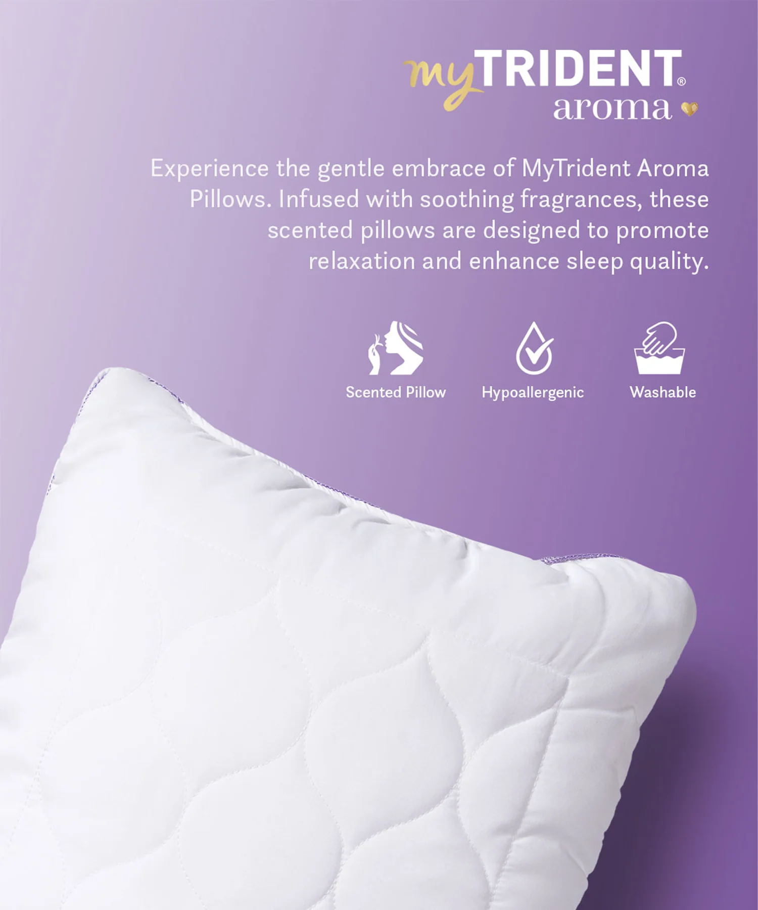Aroma 1 Pc Pillow, Lavender, White|650 GSM Polyester - Image 2