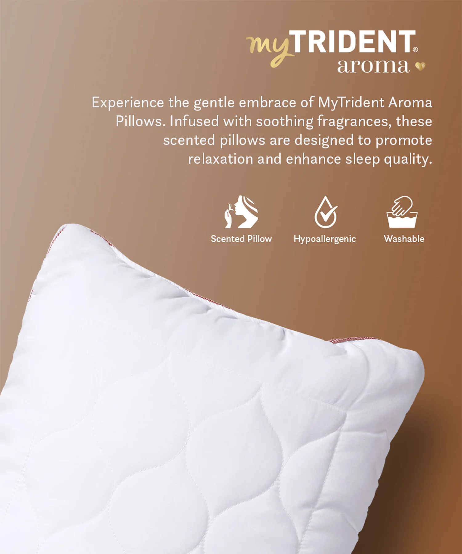 Aroma 1 Pc Pillow, Sandalwood|650 GSM Polyester - Image 2