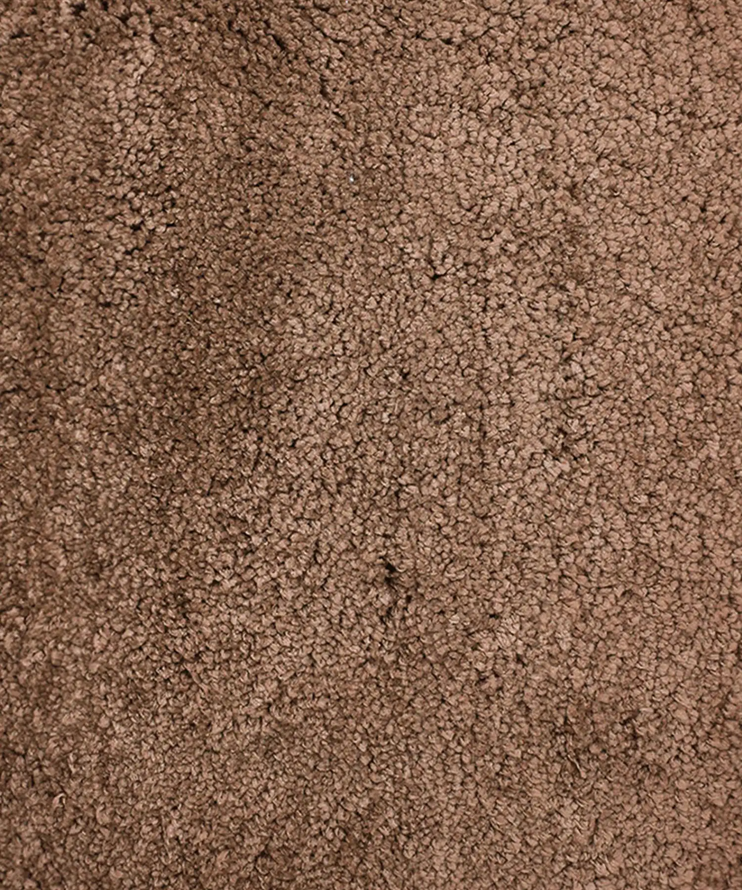 Everyday Bathmat, Acorn|2000 GSM|Anti Skid - Image 7